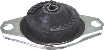 Birth 50073 - Piekare, Dzinējs www.autospares.lv