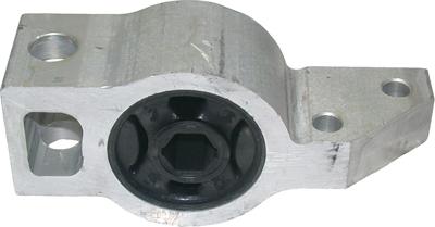 Birth 2516 - Bush of Control / Trailing Arm www.autospares.lv