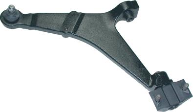 Birth BR1163 - Track Control Arm www.autospares.lv