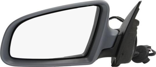 BLIC 5402-04-1119590P - Outside Mirror www.autospares.lv