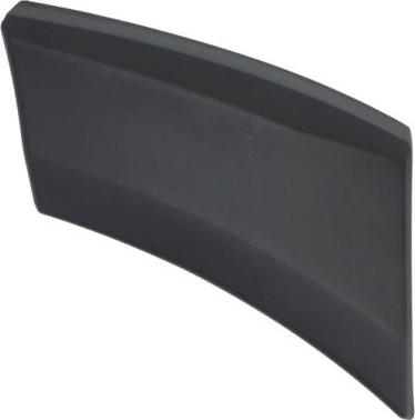 BLIC 5703-08-9564376P - Trim / Protective Strip, wing www.autospares.lv