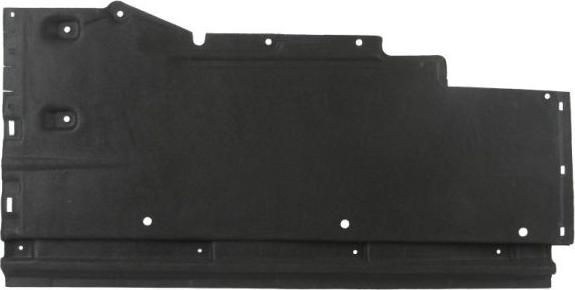 BLIC 6601-02-0029981P - Engine Cover www.autospares.lv