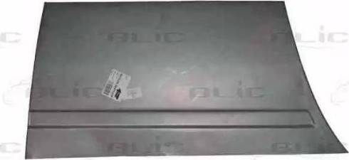 BLIC 6015-00-3541121P - Durvju apdare www.autospares.lv