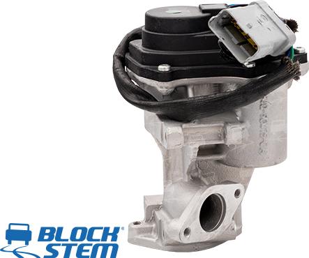 BlockStem EGR0183 - Izpl. gāzu recirkulācijas vārsts www.autospares.lv