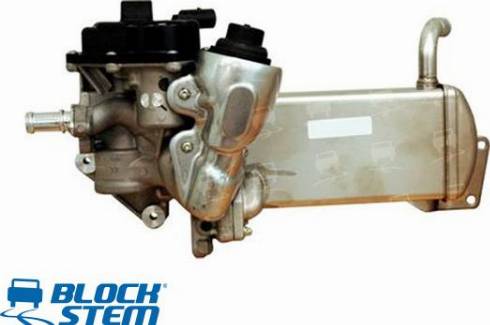 BlockStem EGR0255 - Izpl. gāzu recirkulācijas vārsts www.autospares.lv