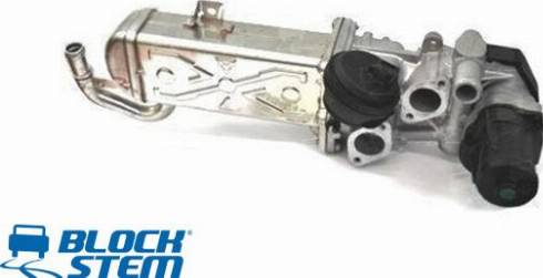 BlockStem EGR0228 - Izpl. gāzu recirkulācijas vārsts www.autospares.lv