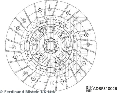 Blue Print ADBP310026 - Clutch Disc www.autospares.lv