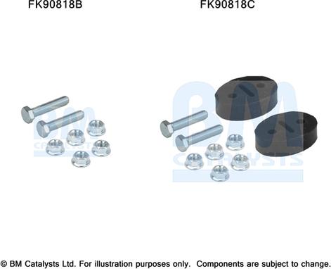 BM Catalysts FK90818 - Montāžas komplekts, Katalizators www.autospares.lv