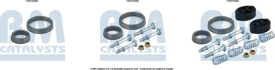 BM Catalysts FK91439 - Montāžas komplekts, Katalizators www.autospares.lv