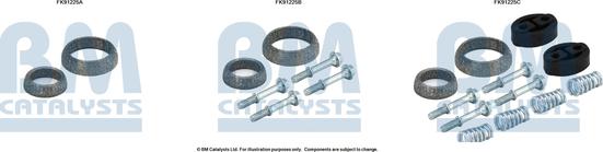 BM Catalysts FK91225 - Montāžas komplekts, Katalizators www.autospares.lv