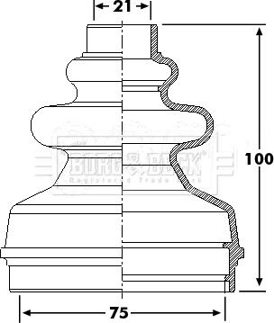 Borg & Beck BCB6241 - Putekļusargs, Piedziņas vārpsta www.autospares.lv