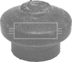 Borg & Beck BEM3150 - Piekare, Dzinējs www.autospares.lv