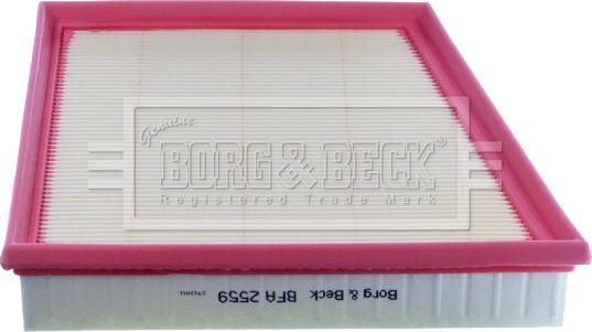 Borg & Beck BFA2559 - Gaisa filtrs www.autospares.lv