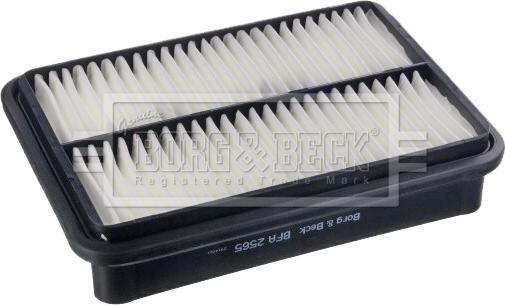 Borg & Beck BFA2565 - Gaisa filtrs www.autospares.lv