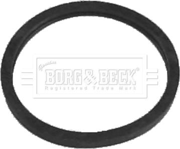 Borg & Beck BG022 - Termostats, Dzesēšanas šķidrums www.autospares.lv