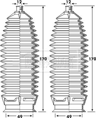 Borg & Beck BSG3406 - Комплект пыльника, рулевое управление www.autospares.lv