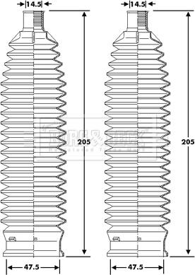 Borg & Beck BSG3428 - Putekļusargu komplekts, Stūres iekārta www.autospares.lv