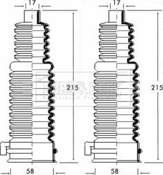 Borg & Beck BSG3195 - Putekļusargu komplekts, Stūres iekārta www.autospares.lv