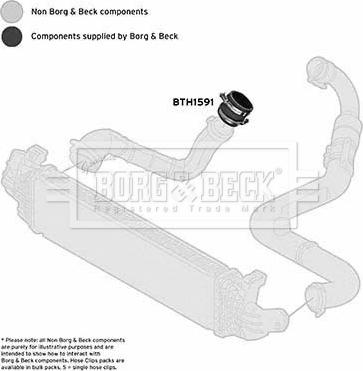 Borg & Beck BTH1591 - Pūtes sistēmas gaisa caurule www.autospares.lv