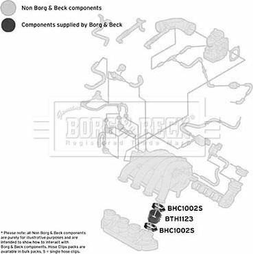 Borg & Beck BTH1123 - Pūtes sistēmas gaisa caurule www.autospares.lv