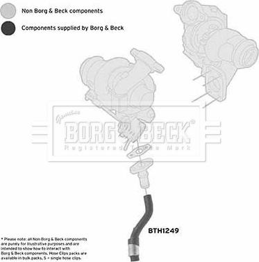 Borg & Beck BTH1249 - Pūtes sistēmas gaisa caurule www.autospares.lv