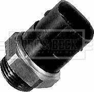 Borg & Beck BTS923.90 - Temperature Switch, radiator / air conditioner fan www.autospares.lv