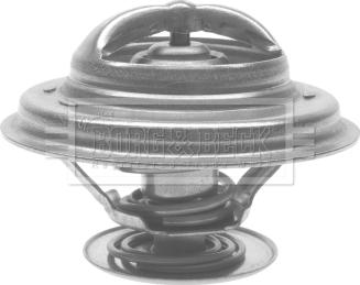 Borg & Beck BTS159.87 - Coolant thermostat / housing www.autospares.lv