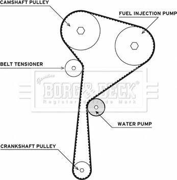 Borg & Beck BTW1004 - Ūdenssūknis + Zobsiksnas komplekts www.autospares.lv