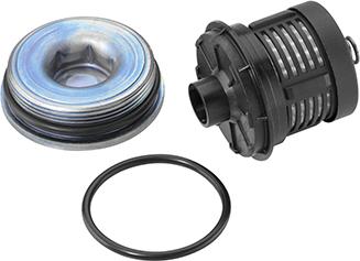 BorgWarner (AWD) DS120456 - Hidrofiltrs, pilnpiedziņas daudzdisku berzes sajūgs www.autospares.lv