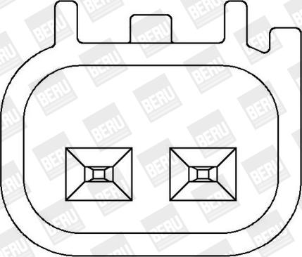 BorgWarner (BERU) ZS367 - Aizdedzes spole www.autospares.lv