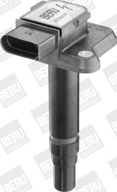 BorgWarner (BERU) ZSE009 - Ignition Coil www.autospares.lv