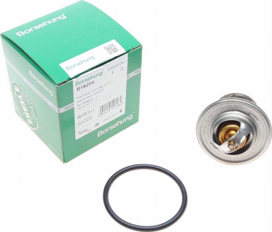 Borsehung B18259 - Coolant thermostat / housing www.autospares.lv