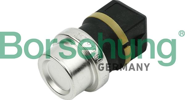 Borsehung B13134 - Датчик, температура охлаждающей жидкости www.autospares.lv