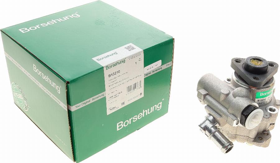 Borsehung B13210 - Hydraulic Pump, steering system www.autospares.lv