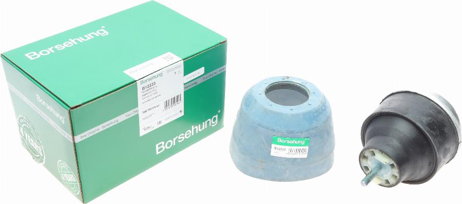 Borsehung B12233 - Piekare, Dzinējs www.autospares.lv