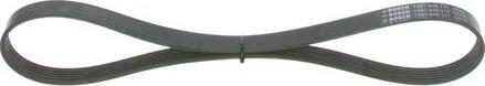 BOSCH 1 987 946 117 - V-Ribbed Belt www.autospares.lv