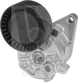 Breda Lorett TOA3033 - Натяжитель, поликлиновый ремень www.autospares.lv