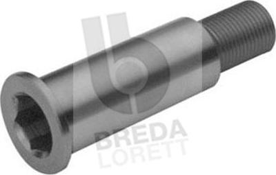 Breda Lorett TOA3074 - Коренная шейка, рычаг натяжного ролика www.autospares.lv