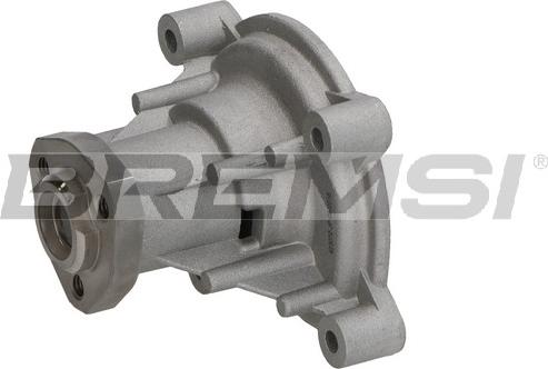 Bremsi WP0207 - Water Pump www.autospares.lv