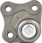 BSG BSG 90-310-021 - Ball Joint www.autospares.lv