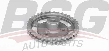 BSG BSG 60-109-003 - Timing Chain Kit www.autospares.lv