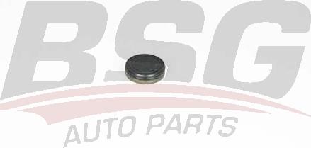 BSG BSG 60-109-018 - Aizsargvāciņš, Sadales vārpsta www.autospares.lv