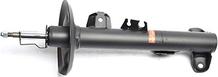 BSG BSG 15-300-034 - Shock Absorber www.autospares.lv