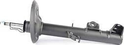 BSG BSG 15-300-021 - Shock Absorber www.autospares.lv