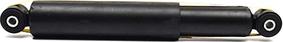 BSG BSG 30-300-001 - Shock Absorber www.autospares.lv