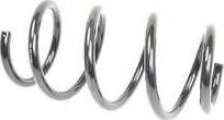 BSG BSG 70-305-006 - Coil Spring www.autospares.lv