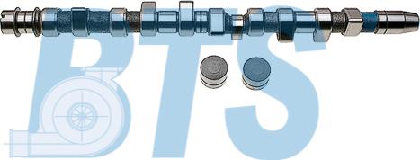 BTS Turbo CP60225 - Camshaft Kit www.autospares.lv