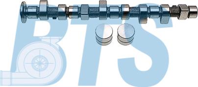 BTS Turbo CP61917 - Camshaft Kit www.autospares.lv