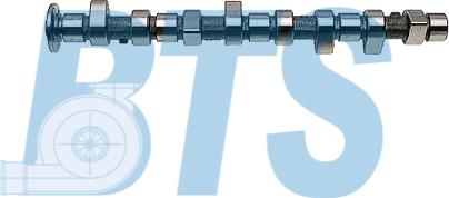 BTS Turbo CP11915 - Camshaft www.autospares.lv