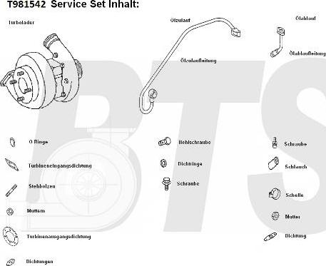 BTS Turbo T981542 - Kompresors, Turbopūte www.autospares.lv